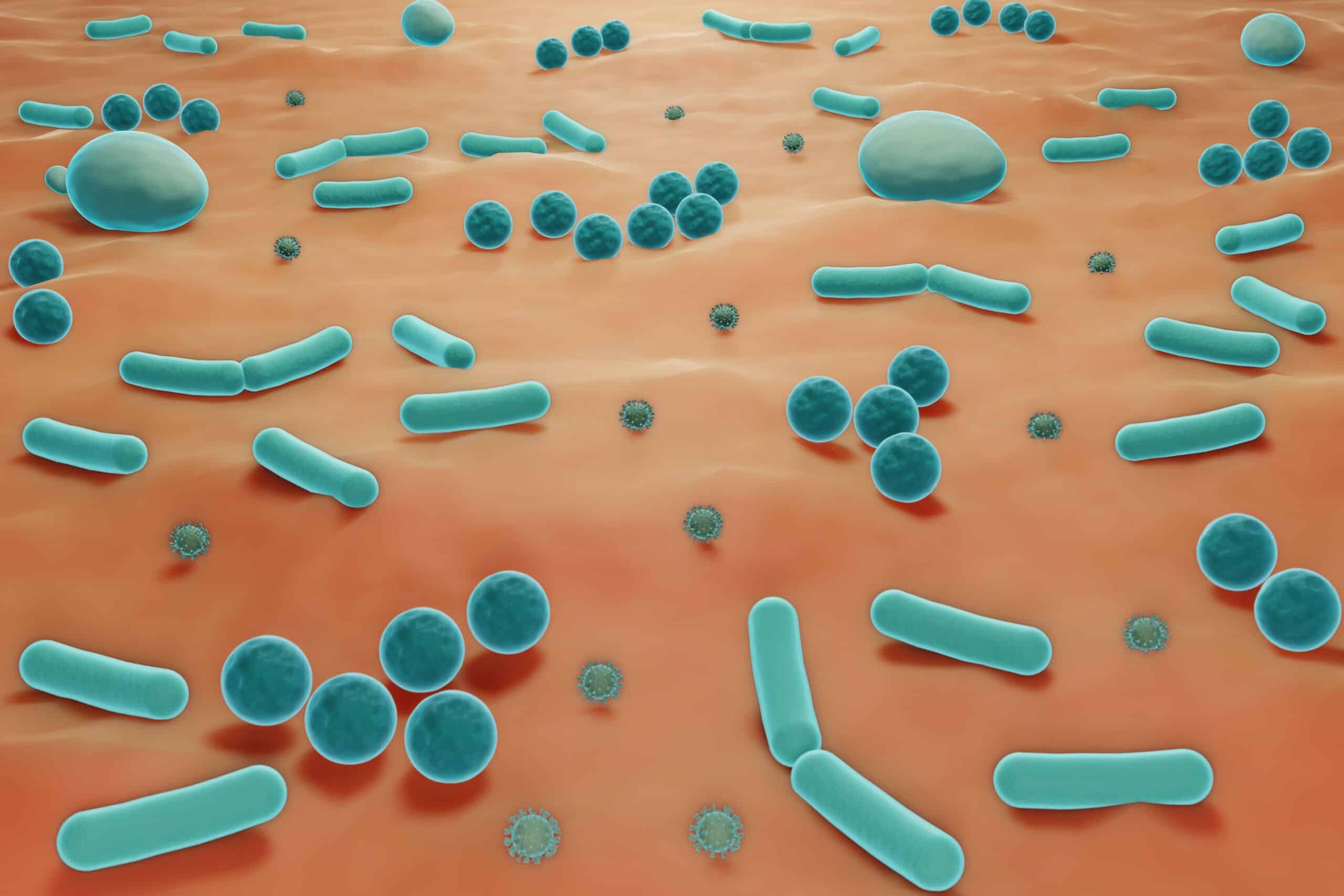 Microscopic 3D illustration of the skin microbiome showing bacteria and flora on the skin surface for cosmetic formulation context.