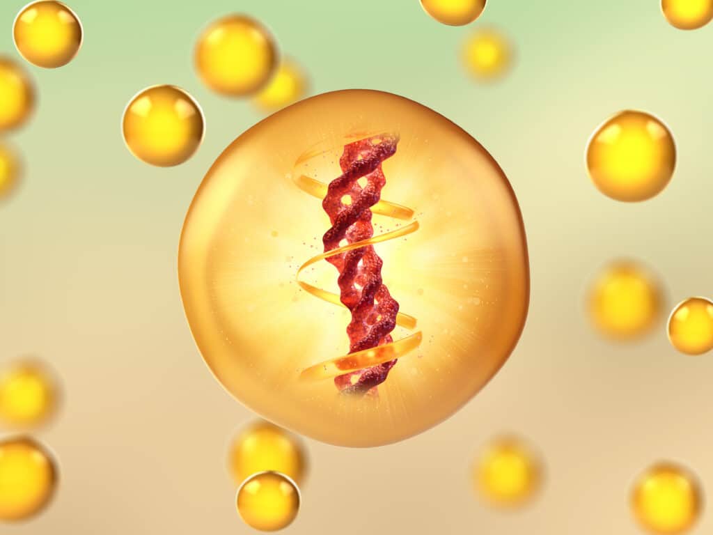 PDRN in skincare molecular structure and cellular repair mechanism